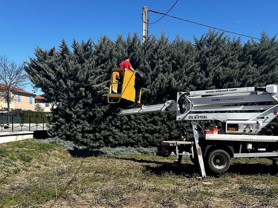 Taille d'une haie de conifères avec un camion nacelle