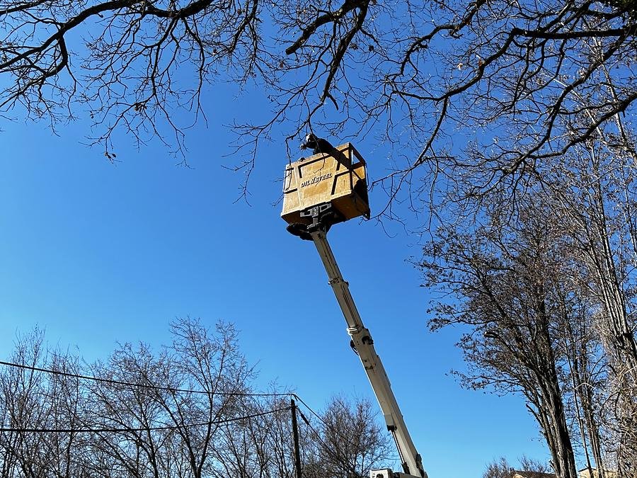 Camion nacelle déployé vers les arbres