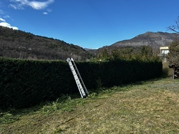 Terrain et haie à débroussailler avec vue sur la montagne