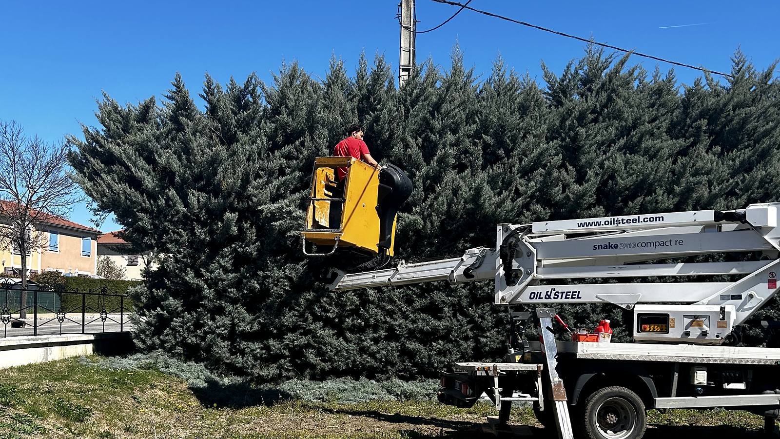 Camion nacelle et ouvrier taillant une grande haie de conifères