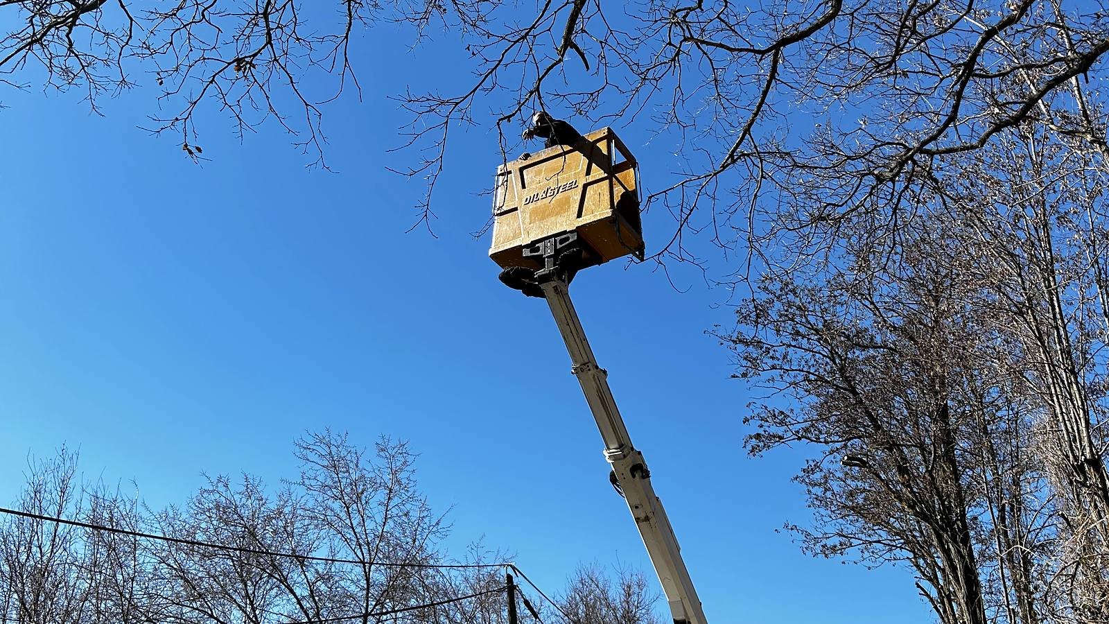 Camion nacelle déployé vers un arbre, sous un ciel bleu